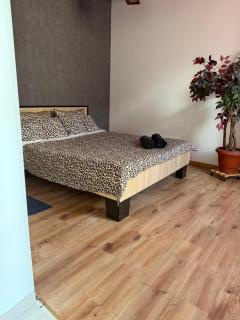 Nice budget apartments - 9