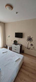Sunrise Apartment 14 - 4
