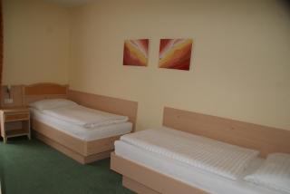 Landhotel-Restaurant Willingshofer - Gasen - 6