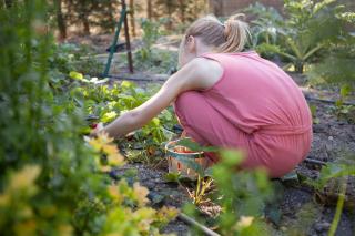 Château de la Motte - Entre Narbonne et le Canal du Midi - 1