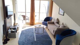 Luxury Chalet Villa - 9