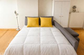 Loft Chaleureux - Le Chalet Montois - 7