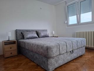 Mišel - 8