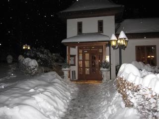 Waldcafé Hotel Restaurant - Baden-Baden - 1