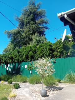 Apartmani Dunav Apatin - 8