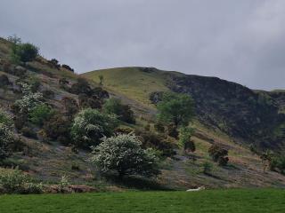 Snug Guest studio in Llanymawddwy, with Valley views - 8