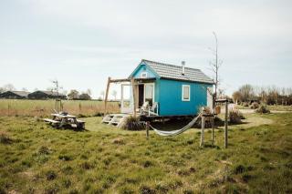 Surf Shack - 8