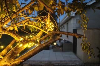 Sundaywell Cottage - 6
