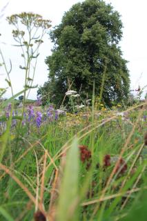 Sundaywell Cottage - 3