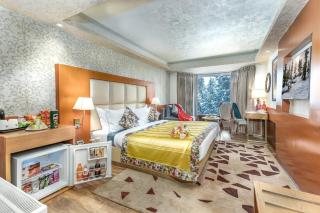 Hotel Royal Castle - 2