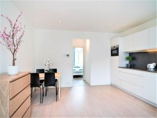 Cosy 1-bedroom apartment, Antwerp - Antuérpia - 3