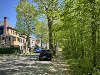 B&B Huis Billiet - 6