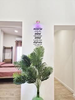 THE PINK HOUSE 1º - 3