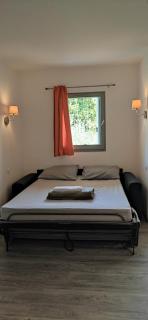 Appartement Les Palmiers - 6