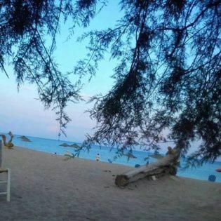 Camping Dias - 4