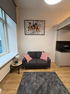 Modern Loft with Mezzanine in Riga Center - 0