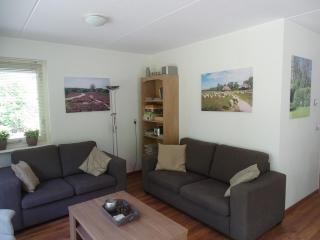 Bos, Heide, Natuur, Rust, Privacy, omheinde tuin op de Veluwe 6 personen - 9
