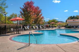 Mountain Vista Resort 1BR Apartment - 9