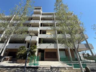 SE256 - Senigallia, bilocale con ampio terrazzo vista mare - 2