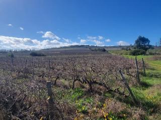 Faure Wine Estate,The Lighthouse - 3