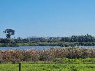 Faure Wine Estate,The Lighthouse - 2