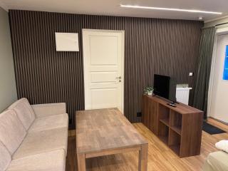 Brand new mini apartment with kitchen - 4