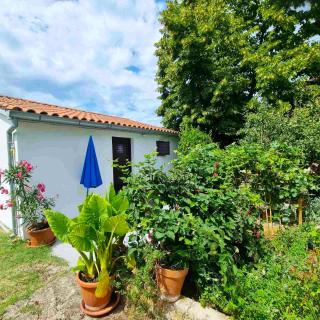 GARDEN - Two Bedroom Apartment - 6