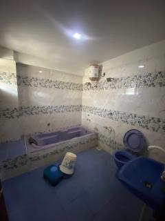 Hotel Anand Palace Inn - 8