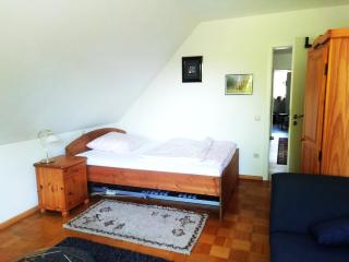 2 Zimmer-Wohnung mit großem Sonnenbalkon - 1