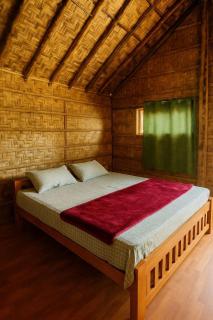 Ecospace Kabini - 1