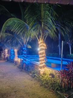 Rustic Farm Villa - 5
