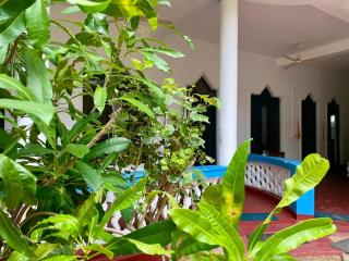 Golden Breeze Arugambay - 0