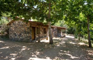 Cepo Verde - Gondesende - 0