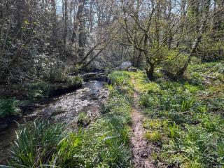 Gara Mill Cottage - 1