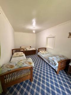 Authentic Homestay in the Heart of the Nuratau Mountains - 9