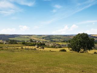 Woodpecker Hollow - Uk45980 - 4
