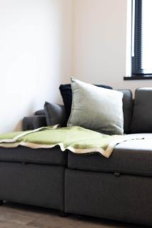 Cosy 2BR Apartment Free Parking Cardiff Garden - 7