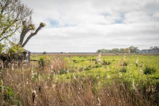 Willowend, Reydon - 1