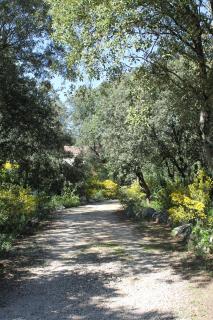 A l'Est d'Uzès - Saint-Siffret - 7
