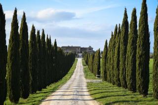 Comfy country home in Asciano - 8