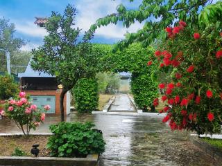 Katerina's Countryside and Sea House - 8