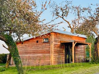 The Apple Shed - cosy cabin nestled in orchard in rural Devon - 8
