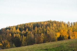 Tiny house Vlnka - 2