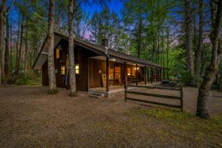Crockett's Coonskin Cabin #540 - Sevierville - 3