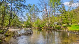 Crockett's Coonskin Cabin #540 - 2
