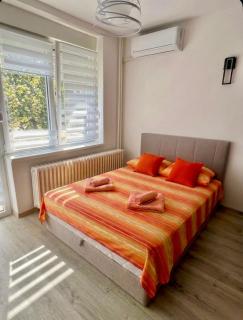 Sunny studio apartment in center of Belgrade - 2