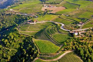 Quinta dos Espinheiros - Provesende - 1
