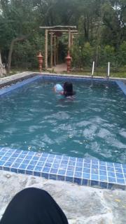 Lake Forest Holiday Resort - 9