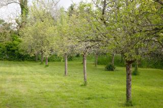 Ferme Kerlan plage 5min en voiture - 5