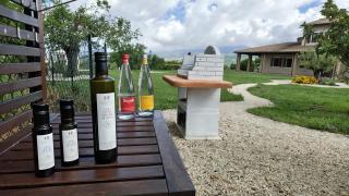 Lyfe Umbria intera villa con piscina in esclusiva - 8